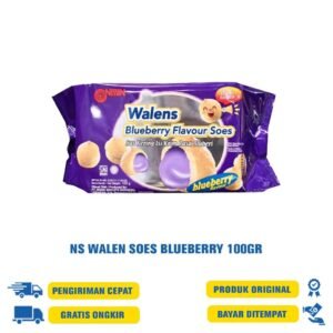 NISSIN WALENS CHOCO SOES 100 GR