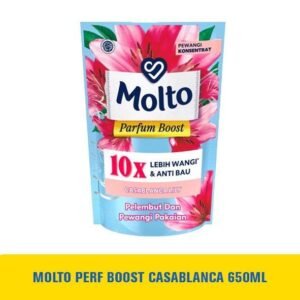 MOLTO PERF BOOST CASABLANCA 650ML