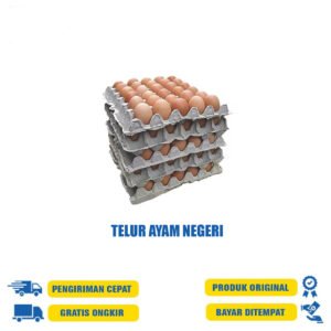 TELUR AYAM NEGERI